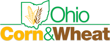 ocw-logo.png